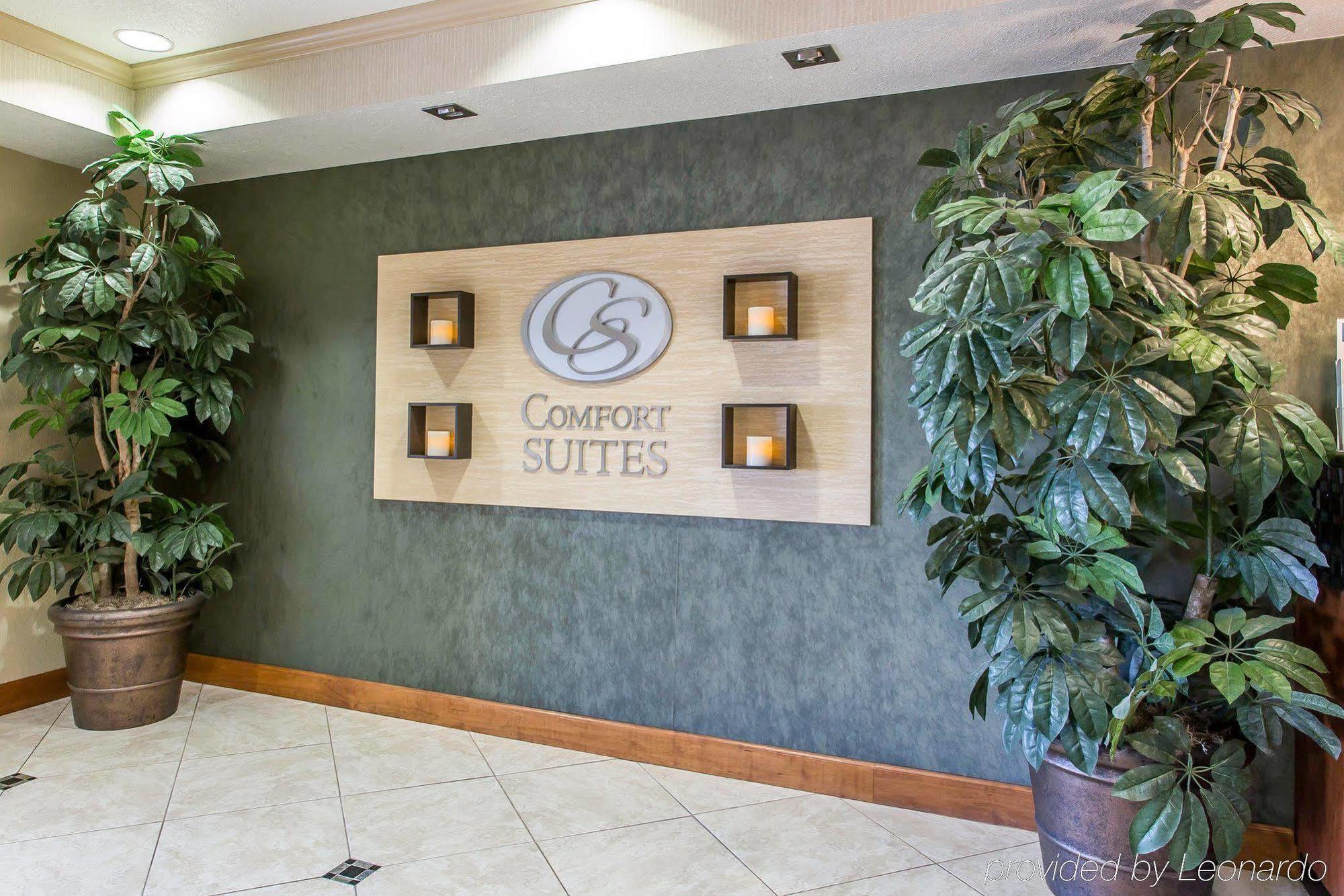 Comfort Suites Hopkinsville Near Fort Campbell Εξωτερικό φωτογραφία